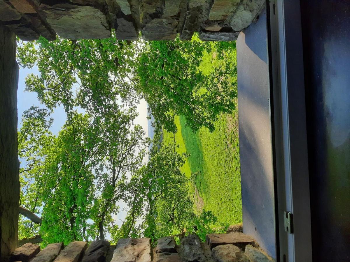 Very Spacious House With Sauna Spa And Countryside Views Gouvy 外观 照片